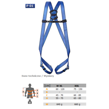 Zestaw asekuracyjny BASIC PRO 1 - PROTEKT